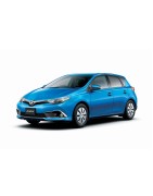 Auris